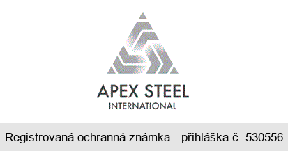 APEX STEEL INTERNATIONAL