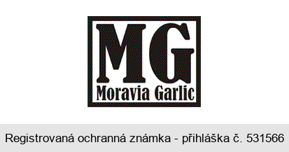 MG Moravia Garlic