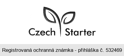 Czech Starter