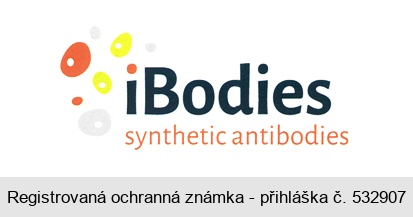iBodies synthetic antibodies