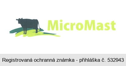 MicroMast