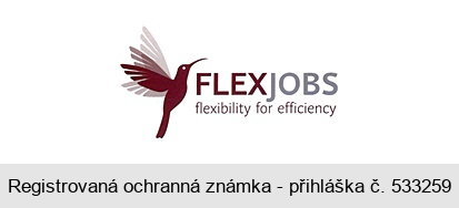FLEXJOBS flexibility for efficiency