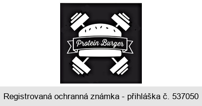 Protein Burger