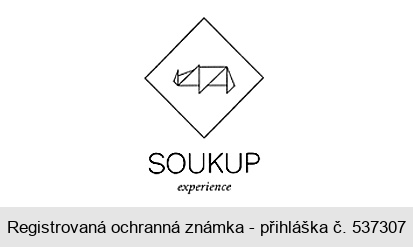 SOUKUP experience