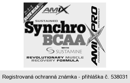 AMIX SUSTAINED Synchro BCAA