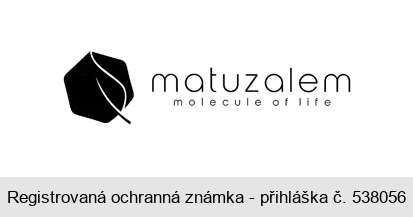 matuzalem molecule of life