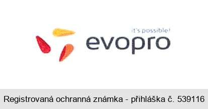 evopro it's possible!