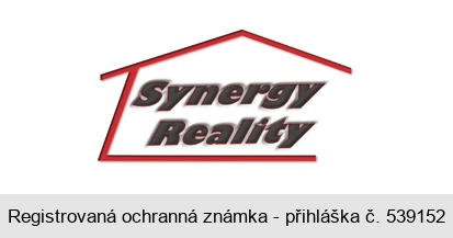 Synergy Reality