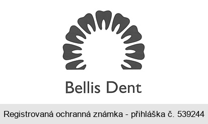 Bellis Dent