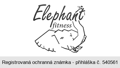 Elephant fitness