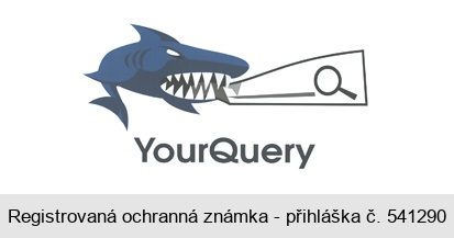 Your Query
