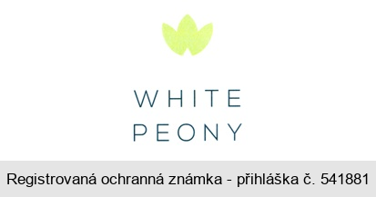 WHITE PEONY