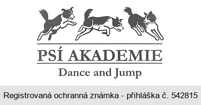 PSÍ AKADEMIE Dance and Jump