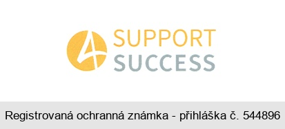 SUPPORT SUCCESS