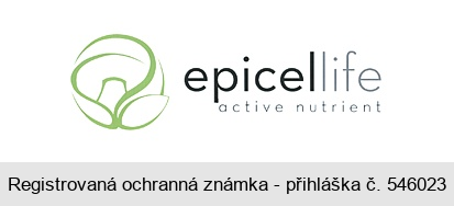 epicellife active nutrient