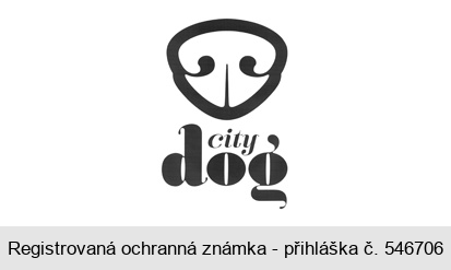 city dog