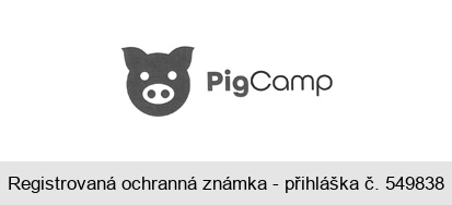 Pig Camp