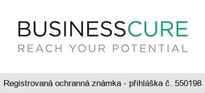 BUSINESSCURE REACH YOUR POTENTIAL