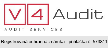 V4 Audit AUDIT SERVICES