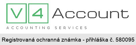 V4 Account ACCOUNTING SERVICES