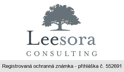 LEESORA Consulting