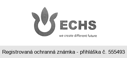 ECHS we create different future