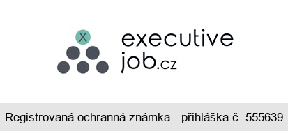 x executive job.cz