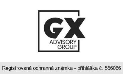 GX ADVISORY GROUP