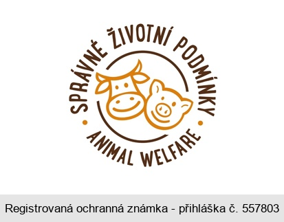 SPRÁVNÉ ŽIVOTNÍ PODMÍNKY ANIMAL WELFARE