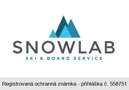 SNOWLAB SKI & BOARD SERVICE