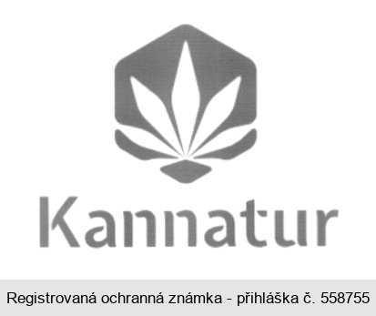 Kannatur
