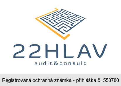 22HLAV audit&consult