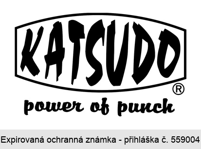 KATSUDO power of punch