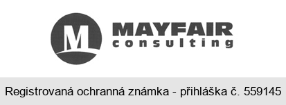 M MAYFAIR consulting