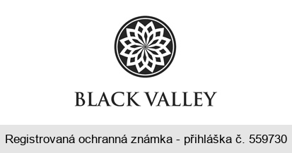 BLACK VALLEY
