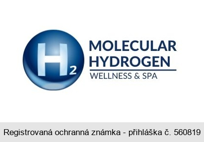 H2 MOLECULAR HYDROGEN WELLNESS & SPA