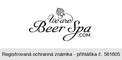 We are Beer Spa.com