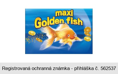 maxi Golden Fish