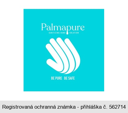 Palmapure SANITIZING HAND SOLUTION BE PURE BE SAFE