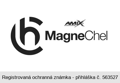 Ch AMIX MagneChel