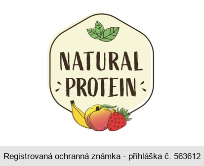 NATURAL PROTEIN