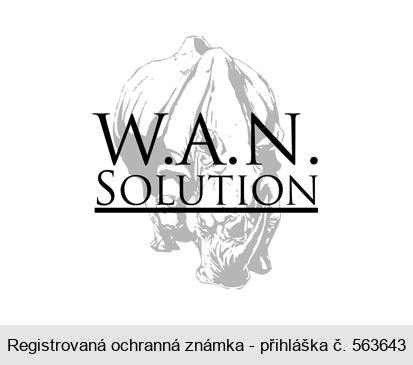 W.A.N. SOLUTION