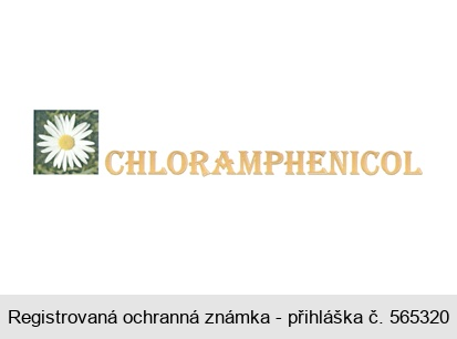 CHLORAMPHENICOL