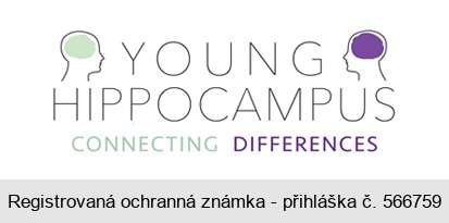 YOUNG HIPPOCAMPUS CONNECTING DIFFERENCES