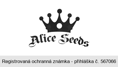 Alice Seeds