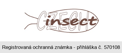 CZECH insect