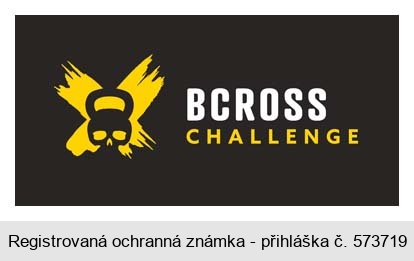 BCROSS CHALLENGE