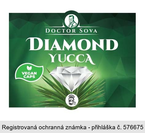 DOCTOR SOVA DIAMOND YUCCA
