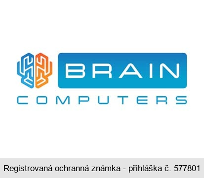 BRAIN COMPUTERS