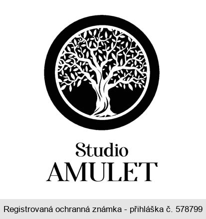 Studio AMULET